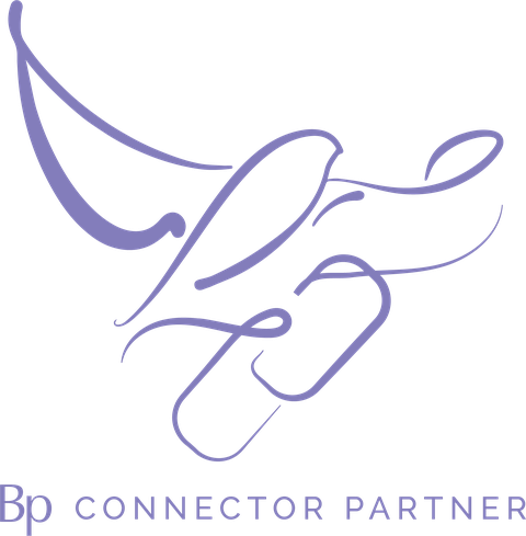 Best Practice Software Partner Network — Connector